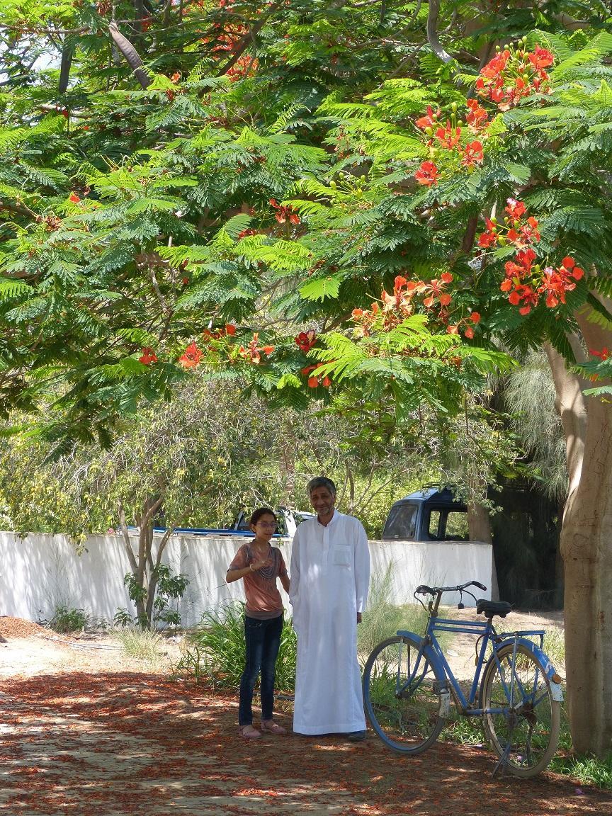 sekem health centre